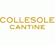 logo-collesole