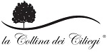 ciliegi logo